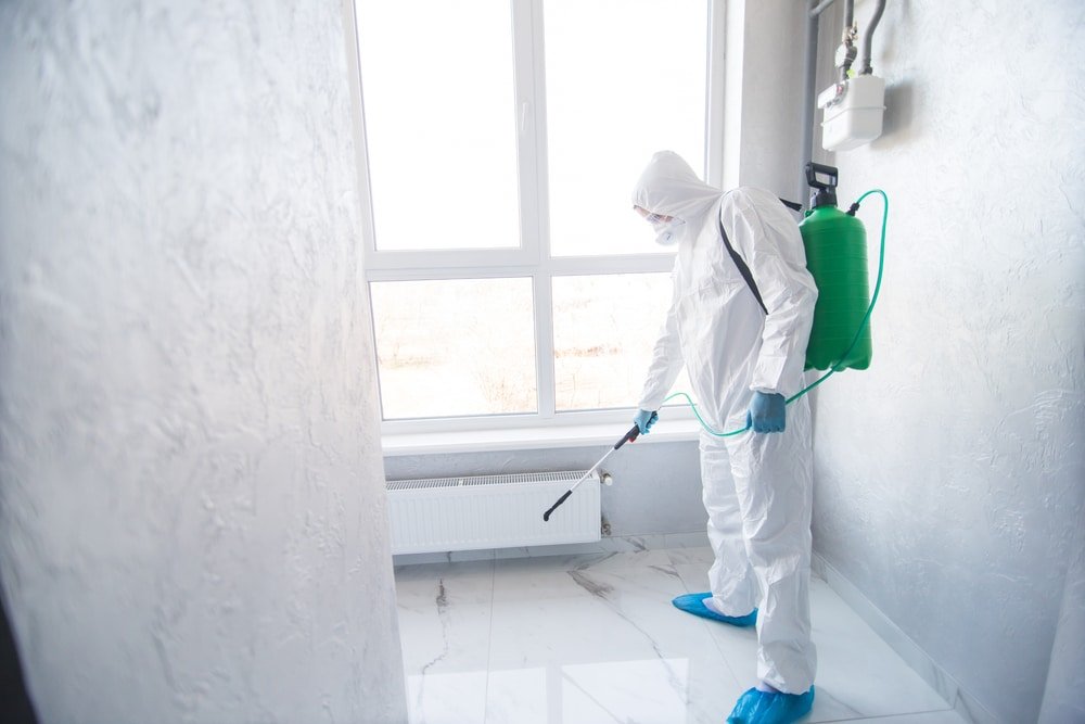 Mold Remediation